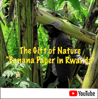 Banana Paper in Rwanda